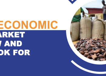 2024 Economic And Market Review And Outlook For 2025